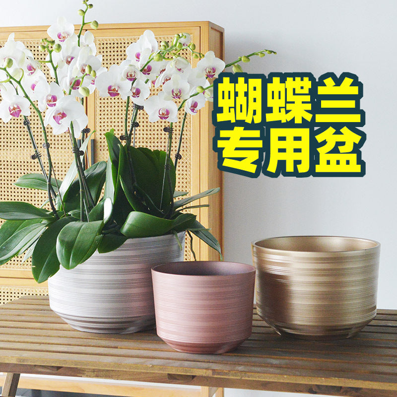 Luxury Thickened Plastic Orchid Pot with Tray, Large Caliber, for New Year's Festivities