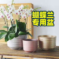 Luxury Thickened Plastic Orchid Pot with Tray, Large Caliber, for New Year's Festivities