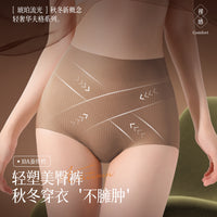 Women's High-Waist Seamless Tummy Control Ice Silk Briefs