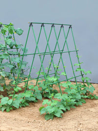 Garden Trellis Kit for Climbing Plants, Coated Steel Support for Beans, Cucumbers, Tomatoes, and Vegetables