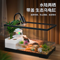 Turtle Tank with Basking Platform and Filter for Small to Medium Reptiles