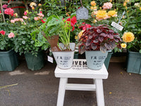 MOUVEMENT Wooden Garden Stool Plant Stand for Outdoor Patio Decor