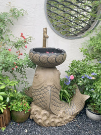 Outdoor Pedestal Sink for Garden and Patio, Freestanding Wash Basin for Villas and Yards