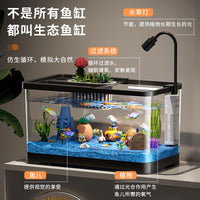 Desktop Ecological Aquarium Fish Tank for Home Office, High Transparency Landscape Stream Tank
