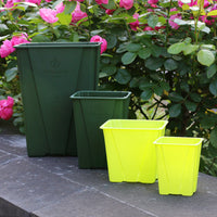 Meiwei Square Plastic Succulent Planter Pot with Breathable Root Control for Roses and Clematis Cuttings