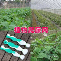 Plant Climbing Net for Yams, Beans, Melons and Passion Fruit Trellis Support
