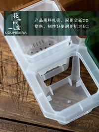 7cm Square Plastic Succulent Planter Pots with 12-Cell Seedling Tray for Cactus and Flowers