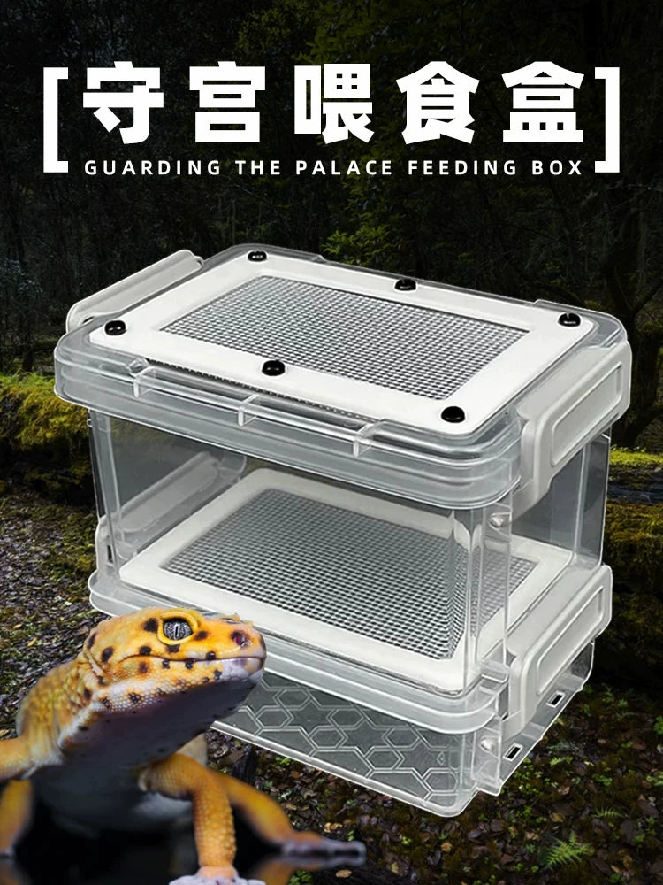 Insect Breeding Box for Reptiles, Spiders, Hamsters, and Birds - Mealworm and Beetle Cultivation