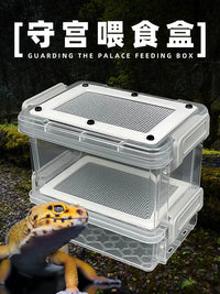 Insect Breeding Box for Reptiles, Spiders, Hamsters, and Birds - Mealworm and Beetle Cultivation