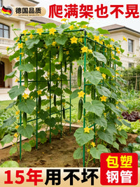Garden Plant Support Stakes for Climbing Vines, Tomatoes, Cucumbers, and Beans