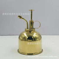 Vintage Nordic Brass Watering Can for Indoor Plants & Gardening