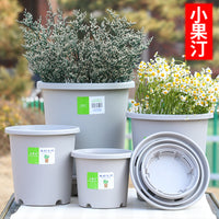 Root Control Plastic Plant Pot with Tray for Succulents and Seedlings, Balcony Garden Planter