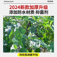 Reusable Non-Woven Fruit and Vegetable Protection Bags for Pest Control