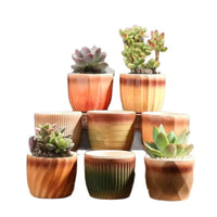 Jinglang Gardening Succulent Planter Pot with Cute Animal and Fruit Designs for Home Decor