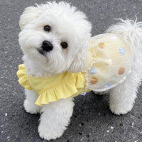 Lightweight Pet Bubble Dress for Small Dogs and Cats, Summer Home Wear