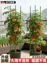 Tomato Cage Plant Support Stakes for Climbing Vegetables and Potted Plants