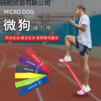 Resistance Loop Bands for Athletic Training and Warm-up