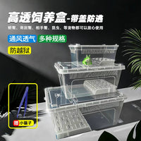Amphibious Reptile Habitat with Lid for Frogs, Turtles, Crabs, and Salamanders