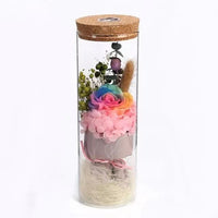 Miniature Ecosystem Glass Fish Tank with Remote Control LED Light for Desktop Decor