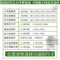 Bamboo Garden Stakes for Climbing Plants, Vegetables, and Fencing