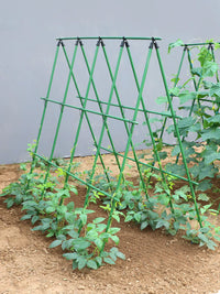 Garden Trellis Kit for Climbing Plants, Coated Steel Support for Beans, Cucumbers, Tomatoes, and Vegetables
