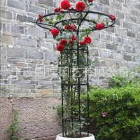 Metal Garden Trellis for Climbing Plants, Roses, Clematis - Umbrella Shape Plant Support