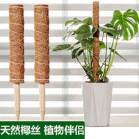 Coir Moss Pole for Climbing Plants, Plant Support Stake for Potted Plants, Extendable Coir Totem Pole for Indoor Plants