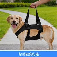 Dog Mobility Harness for Injured, Disabled, or Elderly Dogs - Front/Rear Leg Support for Walking & Stairs