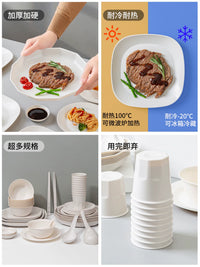 Biodegradable Rice Husk Disposable Dinnerware Set for Home & Camping
