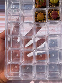 Clear Plastic Succulent Planters with Drainage Holes, Mini Square Nursery Pots for Seedlings and Cuttings
