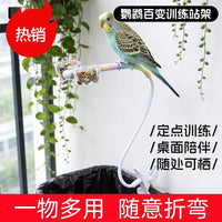 Parrot Universal Perch with Waste Tray - Bite-Resistant Claw Grinding Stand