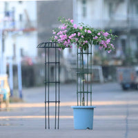 Garden Trellis for Climbing Plants, Clematis, Roses - Single Umbrella Ring Support