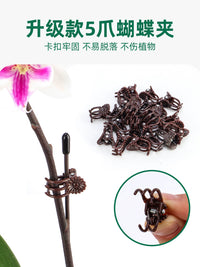 Orchid Plant Support Stakes with Clips for Climbing Vines and Flowers