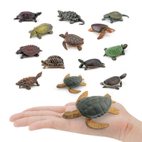 Realistic Amphibious Reptile Turtle Model Figurines for Decoration and Play