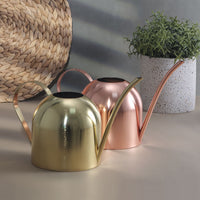 Stainless Steel Long Spout Watering Can for Indoor Outdoor Plants, 450ML