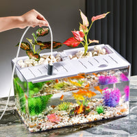 Desktop Turtle Tank Ecological Fish Tank Medium Transparent Plastic Office Study Landscaping Aquarium