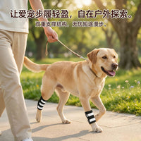 Luminous Pet Dog Leg Brace for Injury Recovery and Lick Prevention