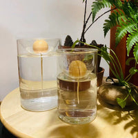 Japanese Style Avocado Seed Hydroponic Vase with Handle