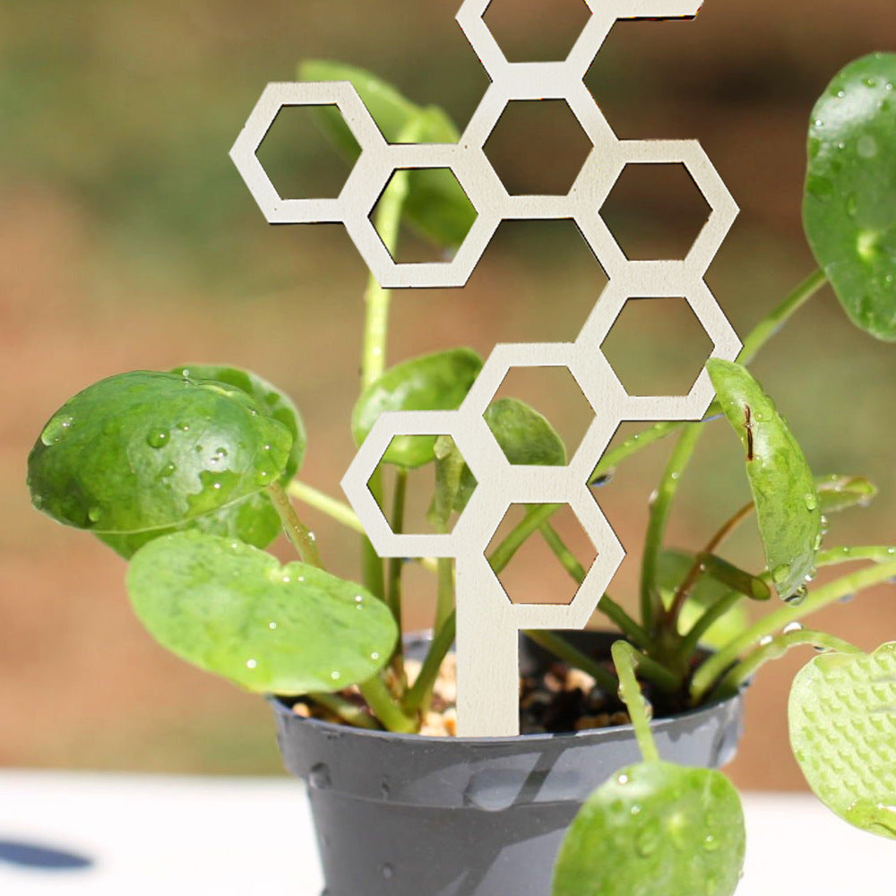 Wooden Honeycomb Plant Trellis for Indoor Garden Potted Plants