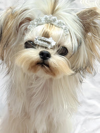 Pet Hair Clips with Rhinestones - Crown Design for Dogs and Cats
