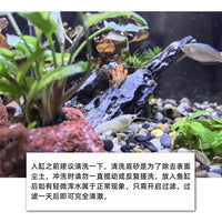 Natural River Stone and Qinglong Stone Aquarium Landscape Kit for Fish Tank Decoration