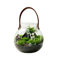 Micro Landscape Terrarium Glass Container with Leather Handle for Moss Succulents Hydroponics DIY