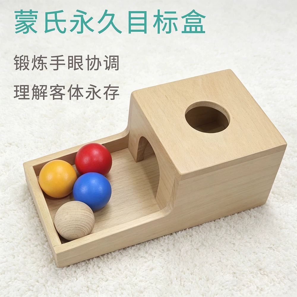 Montessori Permanent Object Box Early Education Toy for Infants 0-6 Months