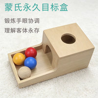 Montessori Permanent Object Box Early Education Toy for Infants 0-6 Months