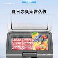 Portable Mini Fridge for Car & Home, Insulin Cooler, Medicine Storage, Dormitory Warmer, Dual-Use Refrigerator