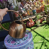Long Spout Watering Can for Indoor Outdoor Plants, 1.2L Metal Watering Pot for Garden Patio Home