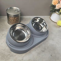 Raised Double Pet Bowls with Non-Slip Base for Food and Water