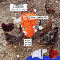 Automatic Rainproof Gravity Poultry Feeder Kit for Chickens and Ducks