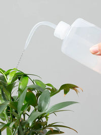 Long Spout Squeeze Bottle for Watering Plants, Succulents, and Indoor Gardening