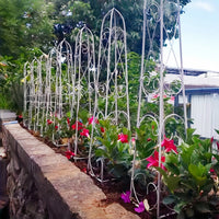 European Style Wrought Iron Garden Trellis for Climbing Plants